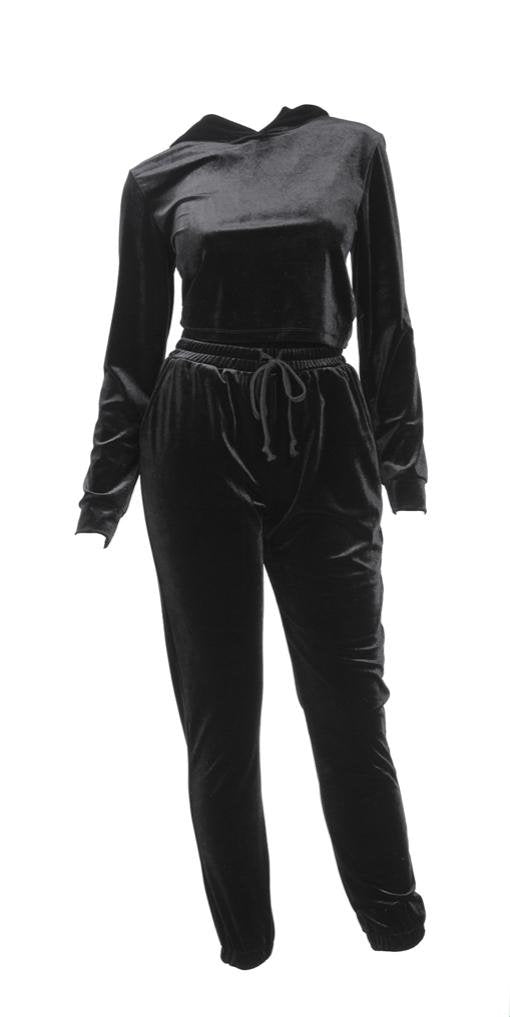 2 Piece Velour Hoodie & Joggers Set